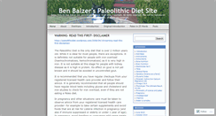 Desktop Screenshot of benbalzer.com